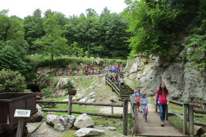 A group of children walking along a path