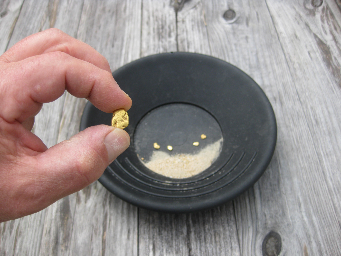 Gold Panning North Carolina North Carolina Gold Mine