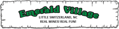 Emerald Village Logo