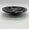 Orthoceras bowl side