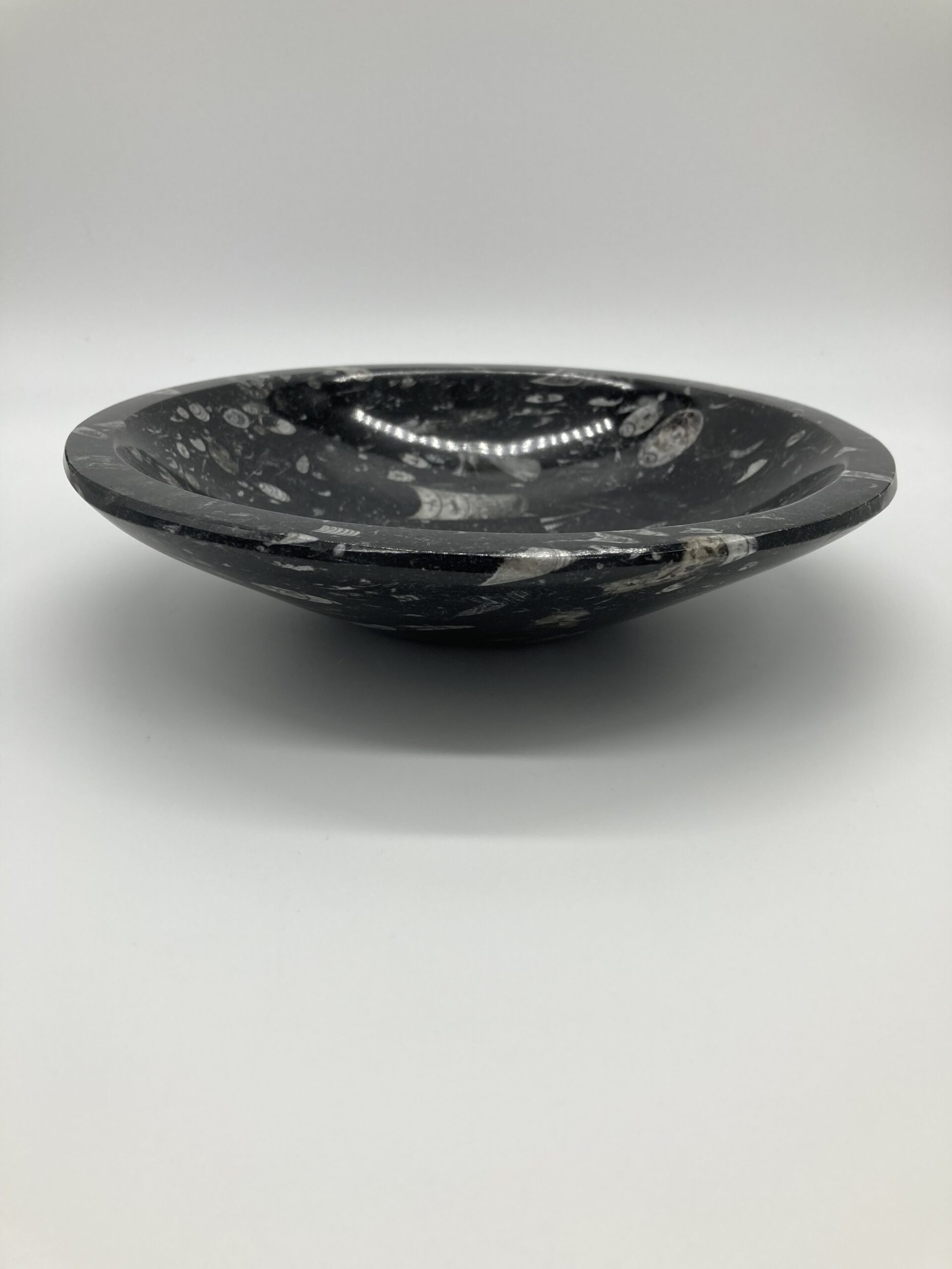 Orthoceras bowl side