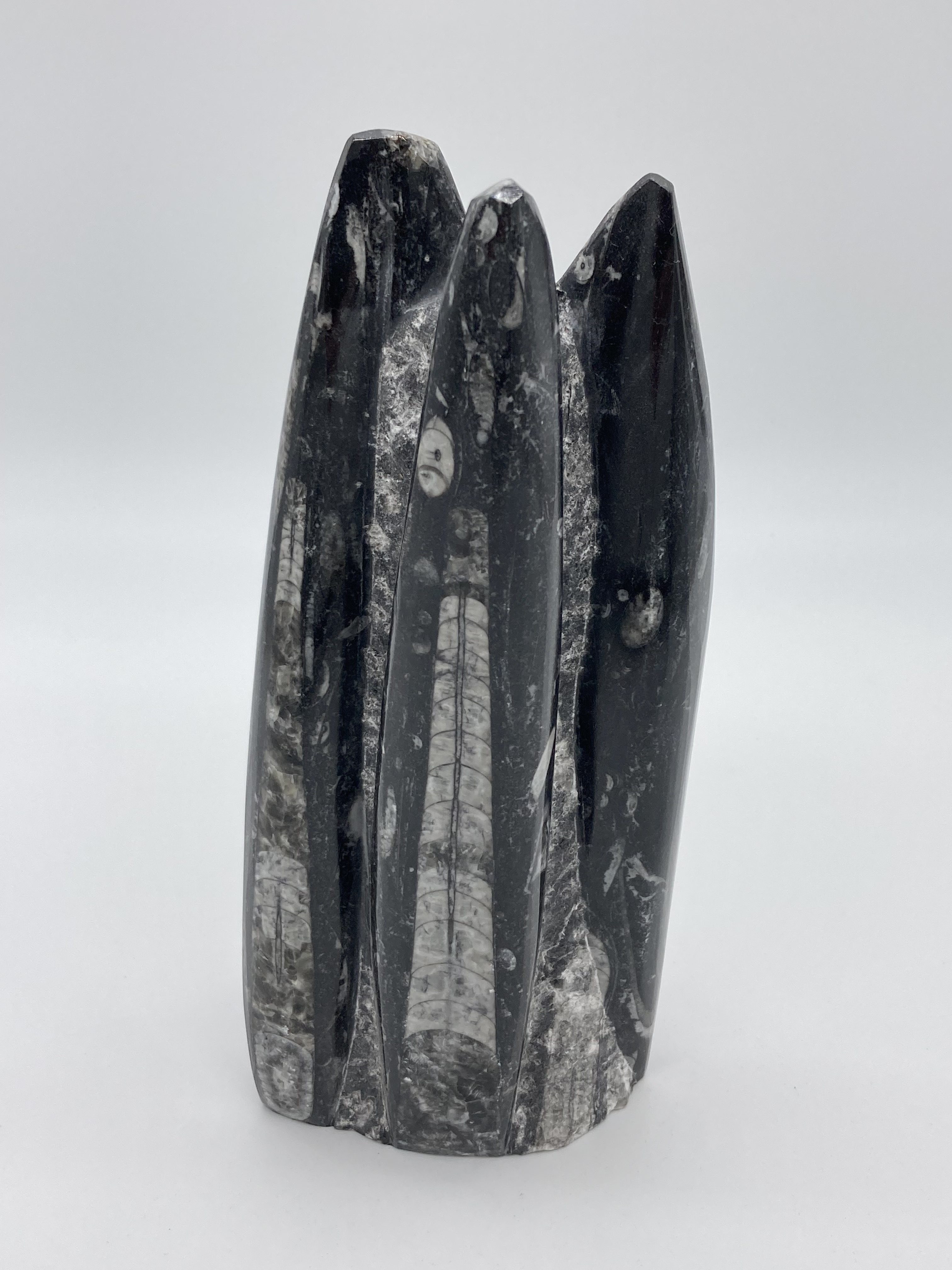 Orthoceras fossil sculpture