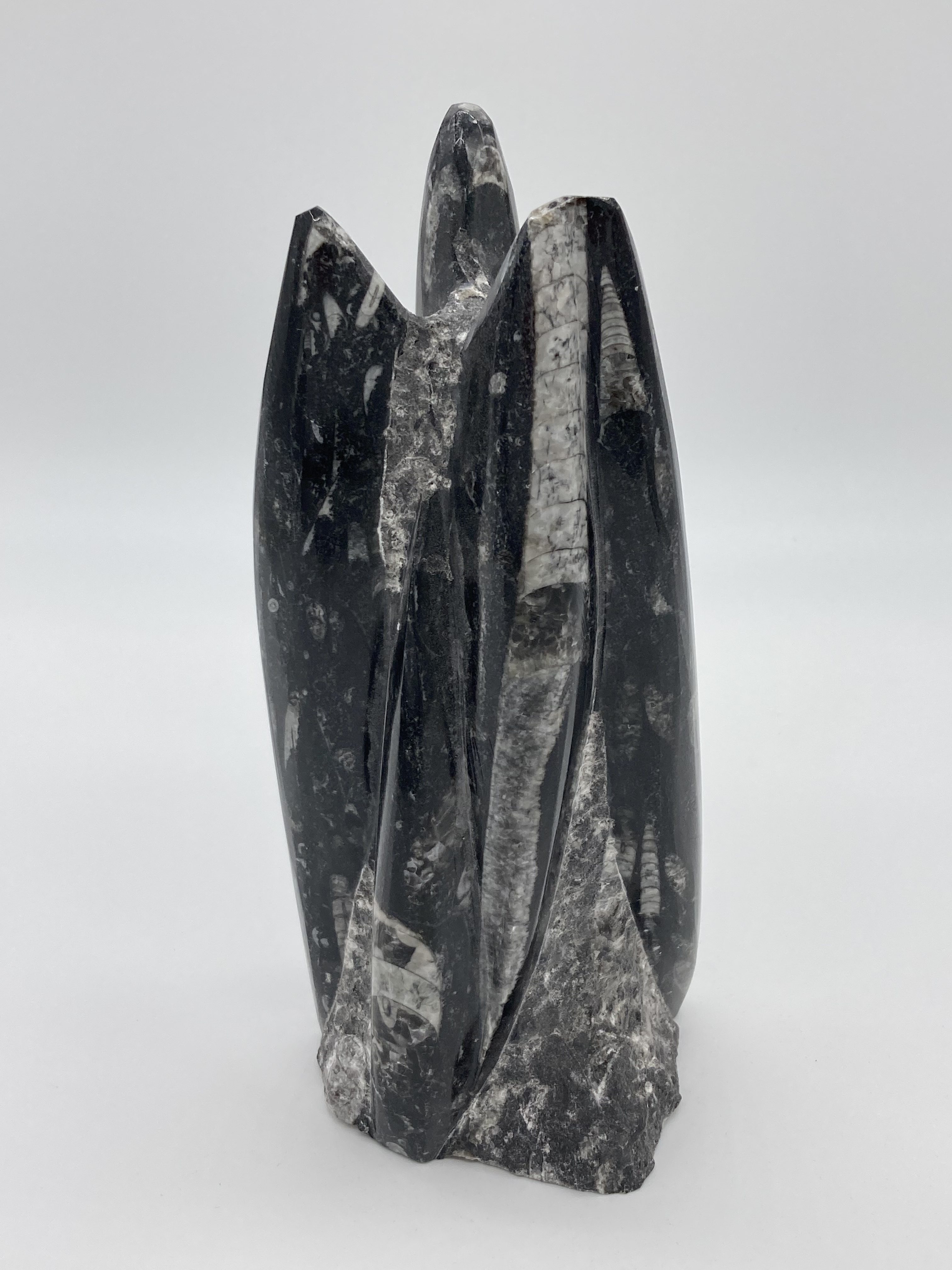 Orthoceras fossil sculpture