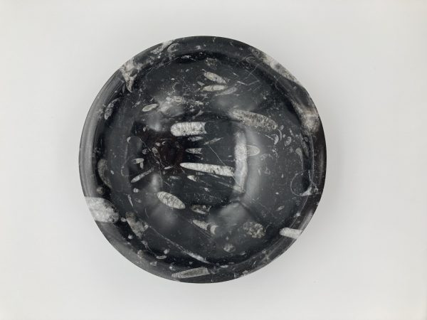 Orthoceras fossil bowl