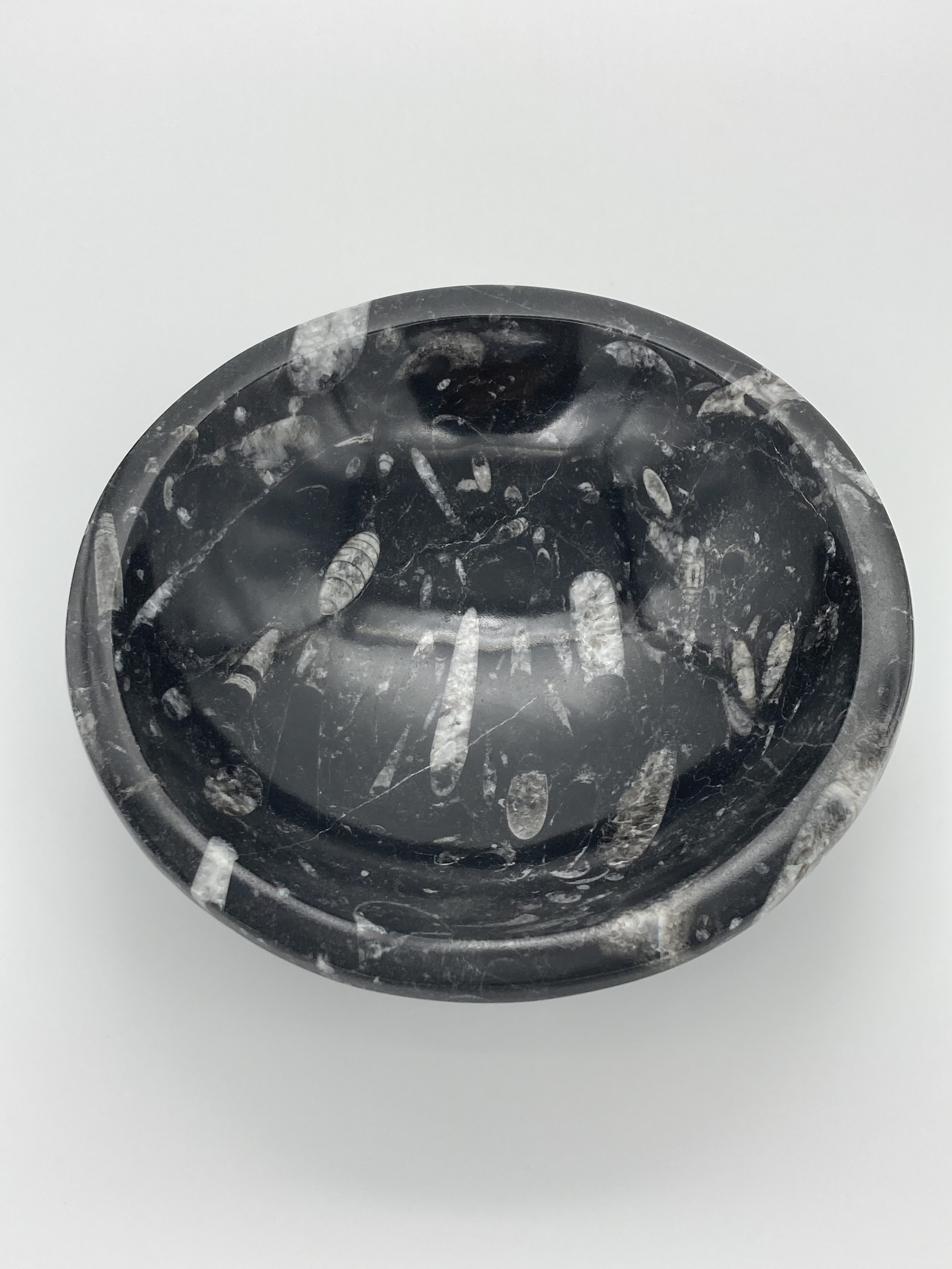 Orthoceras fossil bowl