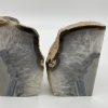 Grey Agate Bookends